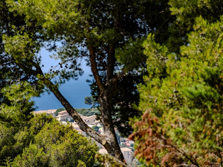 Villa for Sale in Carqueiranne, Provence Coast (cassis To Cavalaire) 15