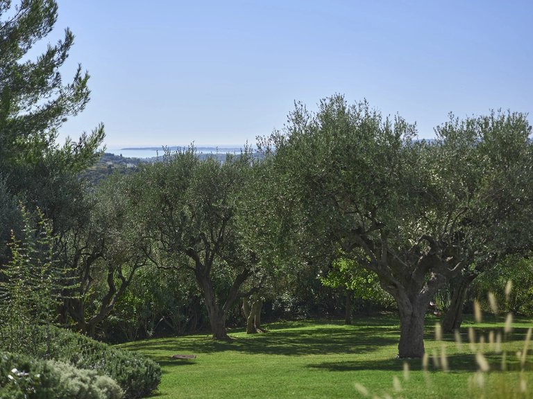 Villa for Sale in Nice, Nice Area 2