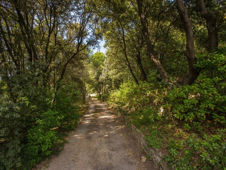 Villa for Sale in Gigondas, Avignon And North Provence 11