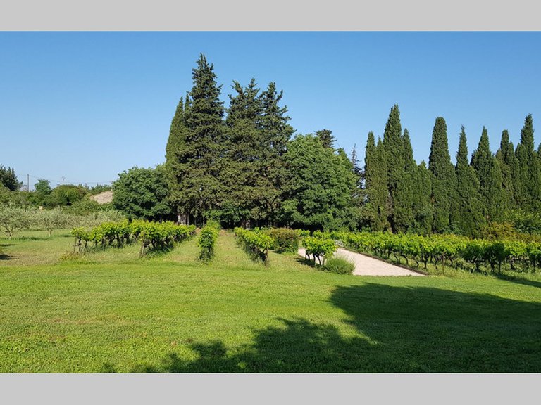 Villa for Sale in Caromb, Avignon And North Provence 20