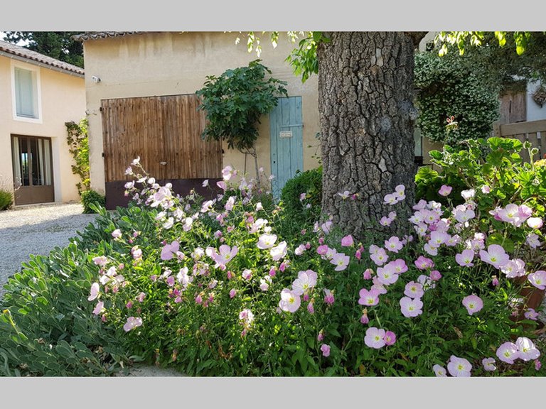 Villa for Sale in Caromb, Avignon And North Provence 5