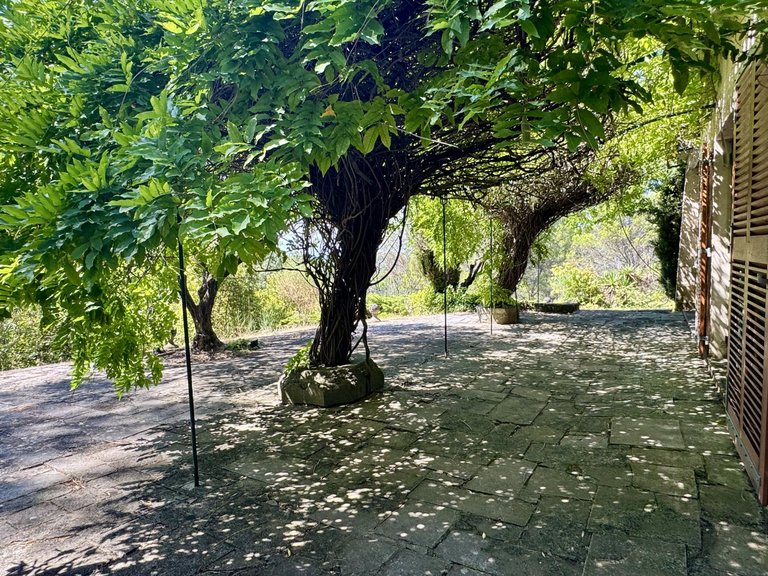 Villa for Sale in Carpentras, Avignon And North Provence 2