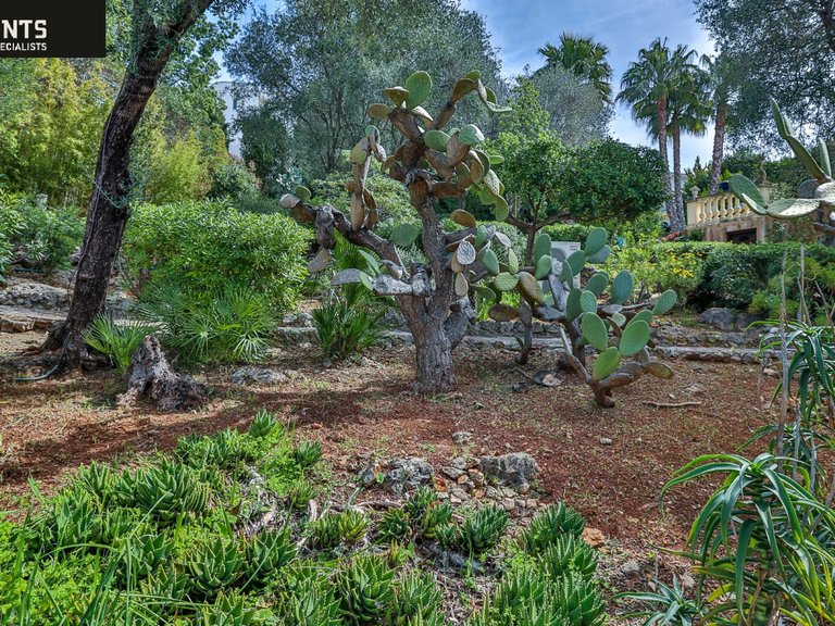Villa for Sale in Nice - Mont Boron, Nice Area 18