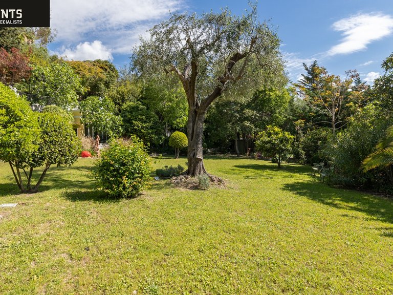 Villa for Sale in Nice, Nice Area 12