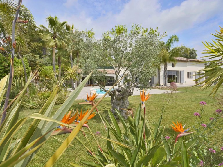 Villa for Sale in Valbonne, Mougins, Valbonne, Grasse Area 9