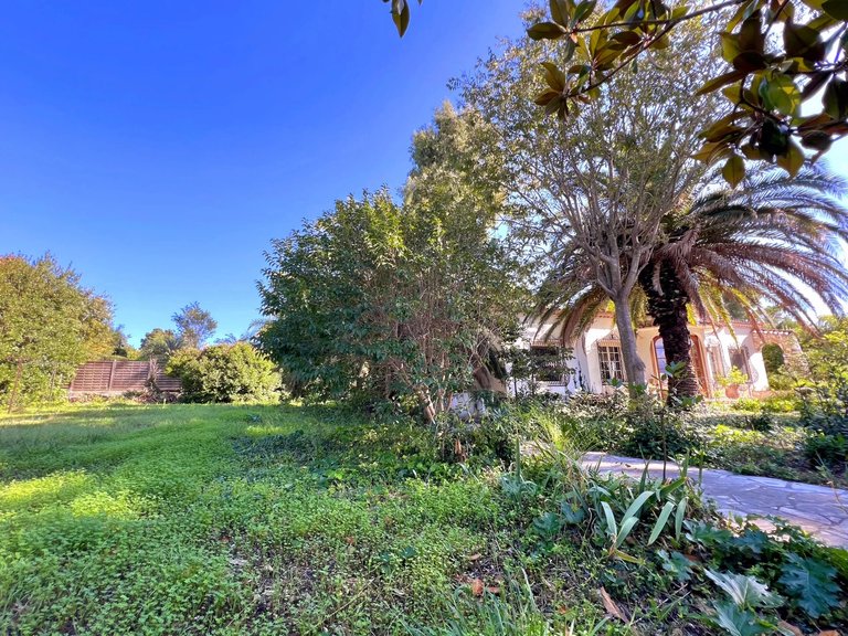 Villa for Sale in Cap D Antibes, Antibes Area 10