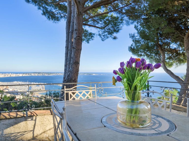 Villa for Sale in Cannes, Cannes Area 6