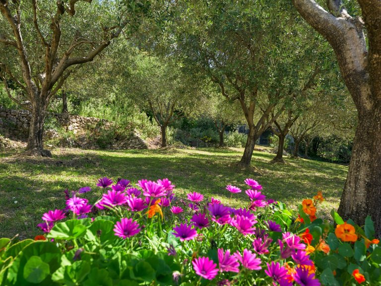 Villa for Sale in Cabris, Mougins, Valbonne, Grasse Area 6