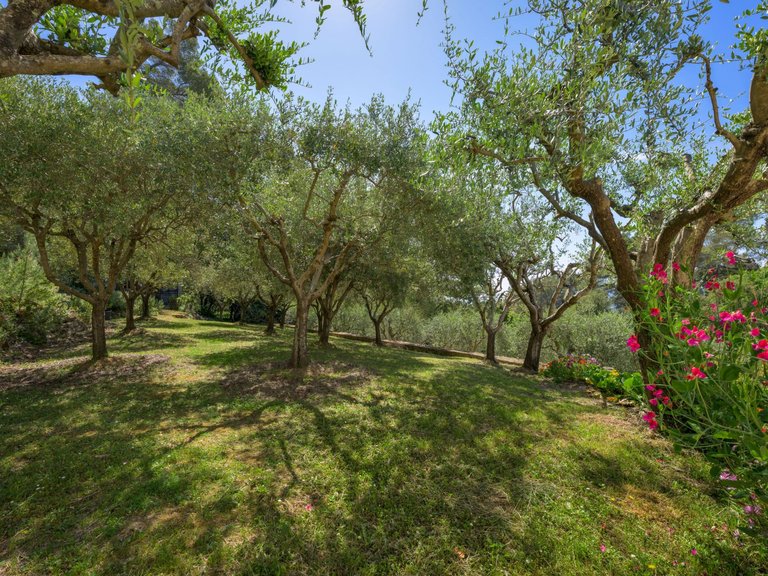 Villa for Sale in Cabris, Mougins, Valbonne, Grasse Area 13