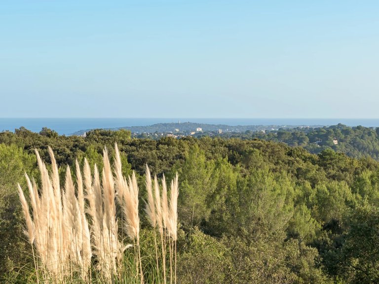 Villa for Sale in Valbonne, Mougins, Valbonne, Grasse Area 15