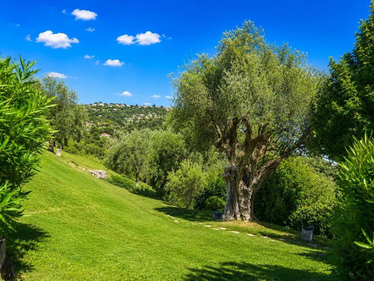 Villa for Sale in La Colle Sur Loup, Vence, St. Paul Area 11
