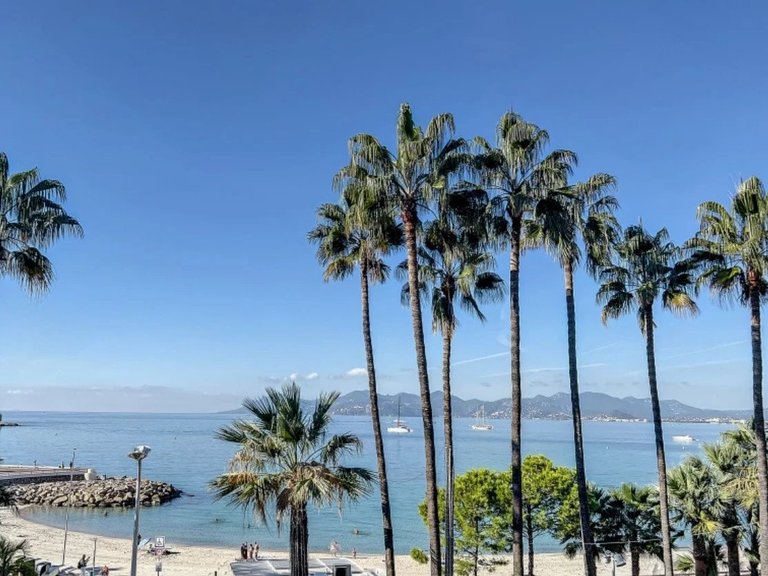 Apartment for Sale in Cannes, Cannes Area 1