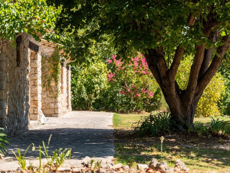 Villa for Sale in Le Tignet, Mougins, Valbonne, Grasse Area 10