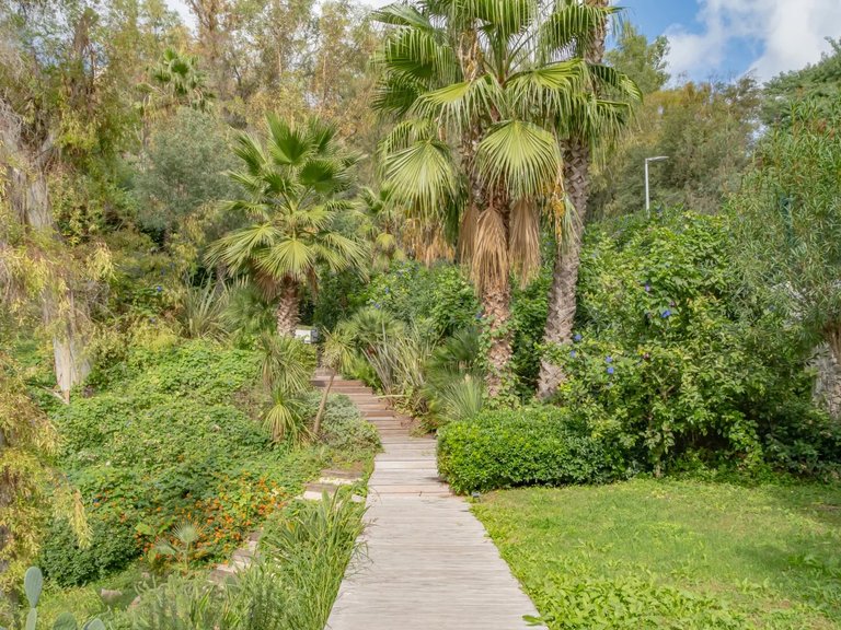 Villa for Sale in Cannes, Cannes Area 6