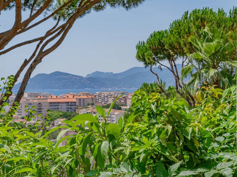 Villa for Sale in Cannes, Cannes Area 2