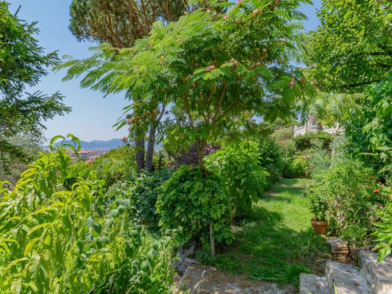 Villa for Sale in Cannes, Cannes Area 15