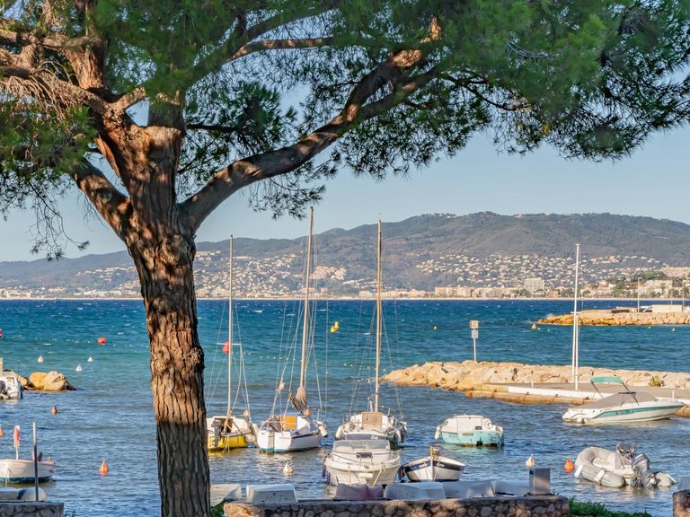 Apartment for Sale in Cannes, Cannes Area 3