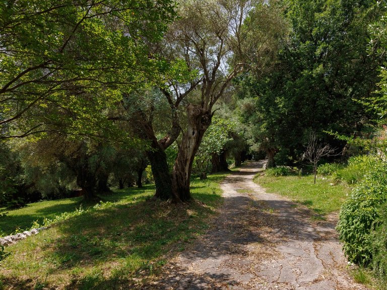 Villa for Sale in La Colle Sur Loup, Vence, St. Paul Area 14