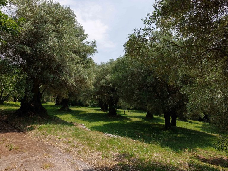 Villa for Sale in La Colle Sur Loup, Vence, St. Paul Area 15