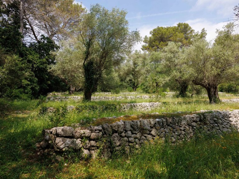 Villa for Sale in La Colle Sur Loup, Vence, St. Paul Area 4
