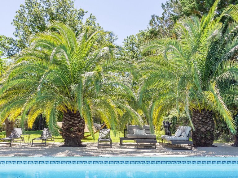 Villa for Sale in Grimaud, St. Tropez, Grimaud Area 3