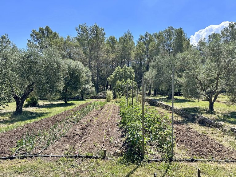 Villa for Sale in Le Rouret, Mougins, Valbonne, Grasse Area 11