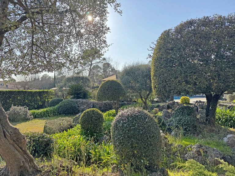 Villa for Sale in Roquefort Les Pins, Mougins, Valbonne, Grasse Area 16