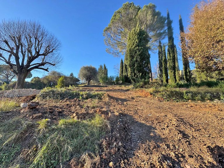 Villa for Sale in Valbonne, Mougins, Valbonne, Grasse Area 4