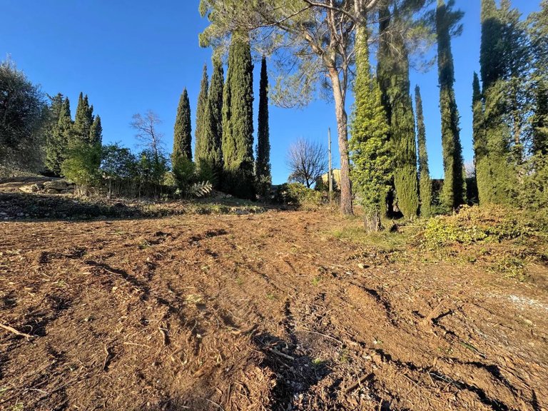 Villa for Sale in Valbonne, Mougins, Valbonne, Grasse Area 6