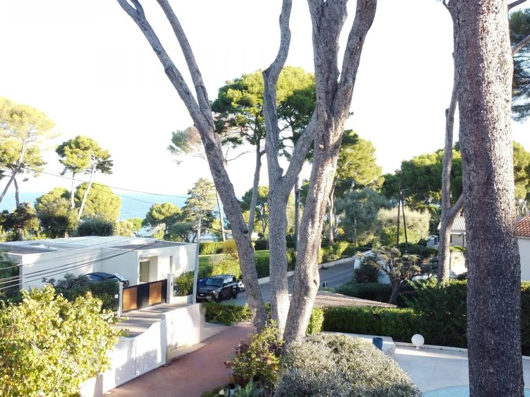 Villa for Sale in Cap D Antibes, Antibes Area 15