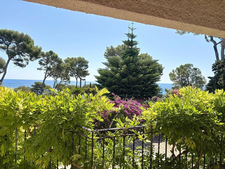 Villa for Sale in Cap D Antibes, Antibes Area 8