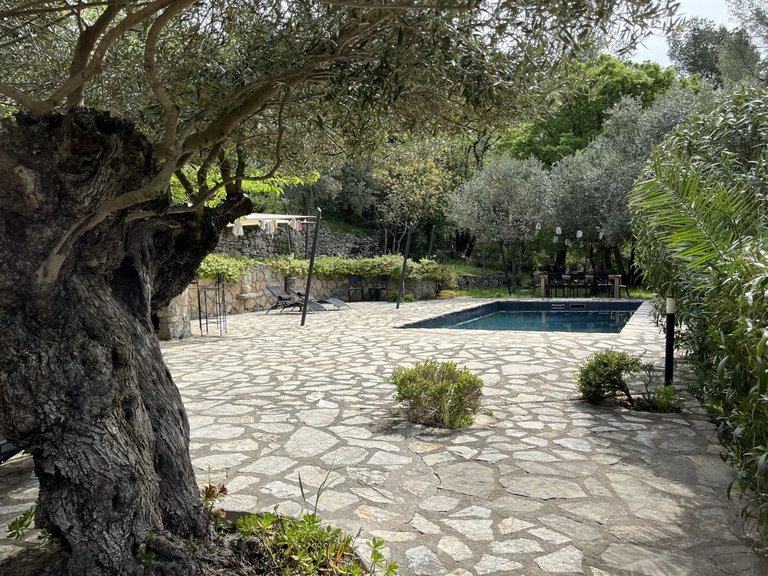 Villa for Sale in Seillans, Var Countryside (fayence, Lorgues, Cotignac) 5