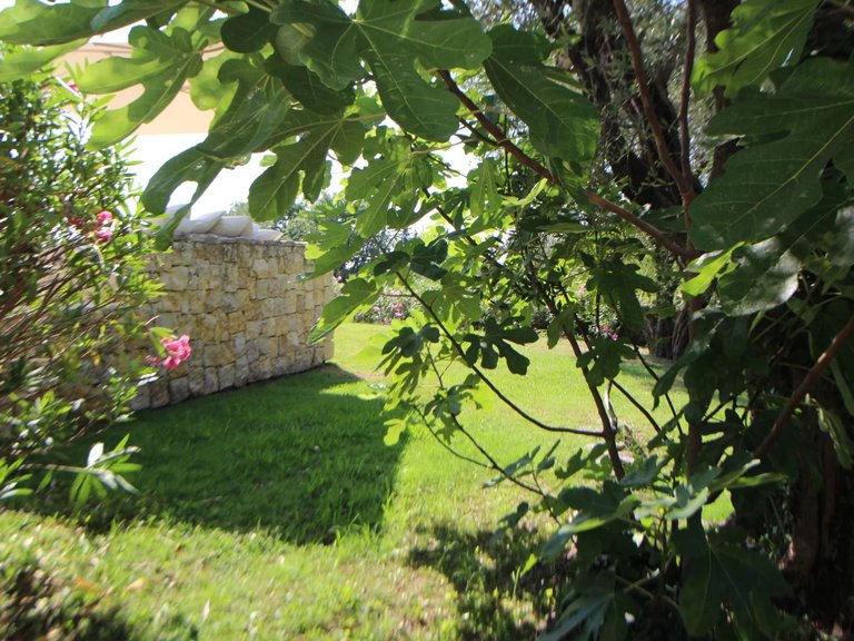 Villa for Sale in Opio, Mougins, Valbonne, Grasse Area 20