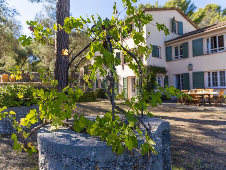 Villa for Sale in Grasse, Mougins, Valbonne, Grasse Area 7