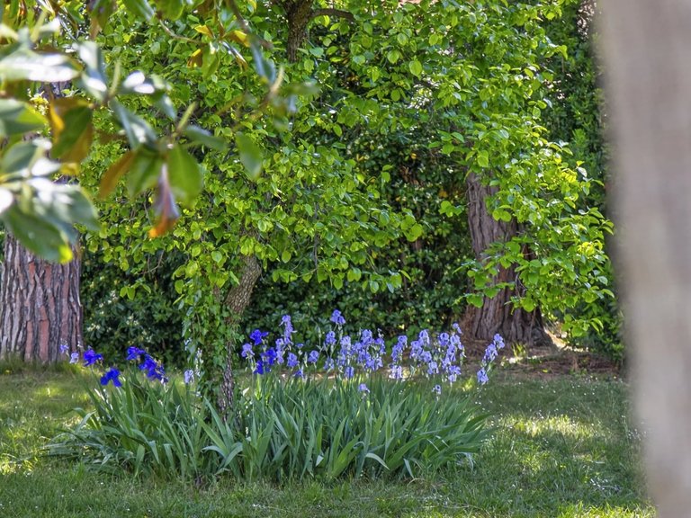 Villa for Sale in St Paul, Vence, St. Paul Area 19