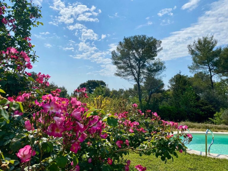 Villa for Sale in St Paul, Vence, St. Paul Area 13