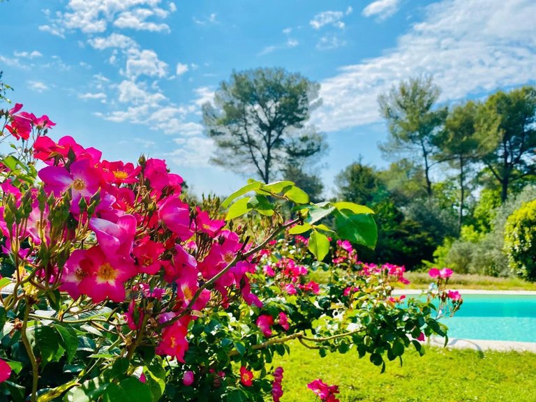 Villa for Sale in St Paul, Vence, St. Paul Area 17