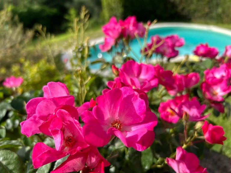 Villa for Sale in St Paul, Vence, St. Paul Area 20
