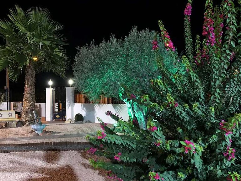 Villa for Sale in Orihuela, Alicante 16