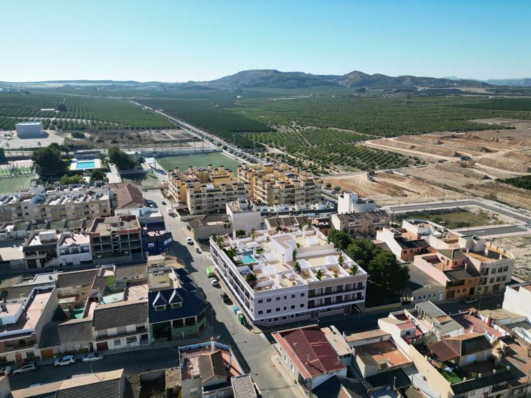 Apartment for Sale in Algorfa, Alicante 4