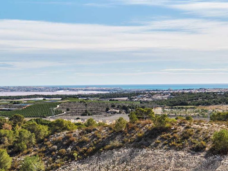 Villa for Sale in San Miguel De Salinas, Alicante 9