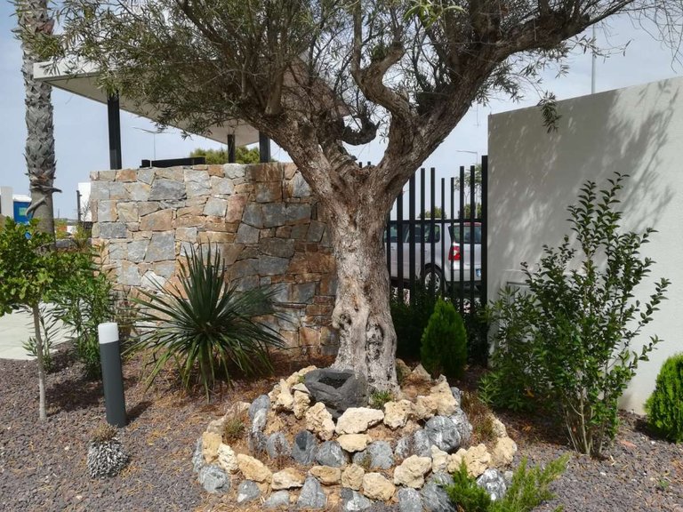 Villa for Sale in Torrevieja, Alicante 22