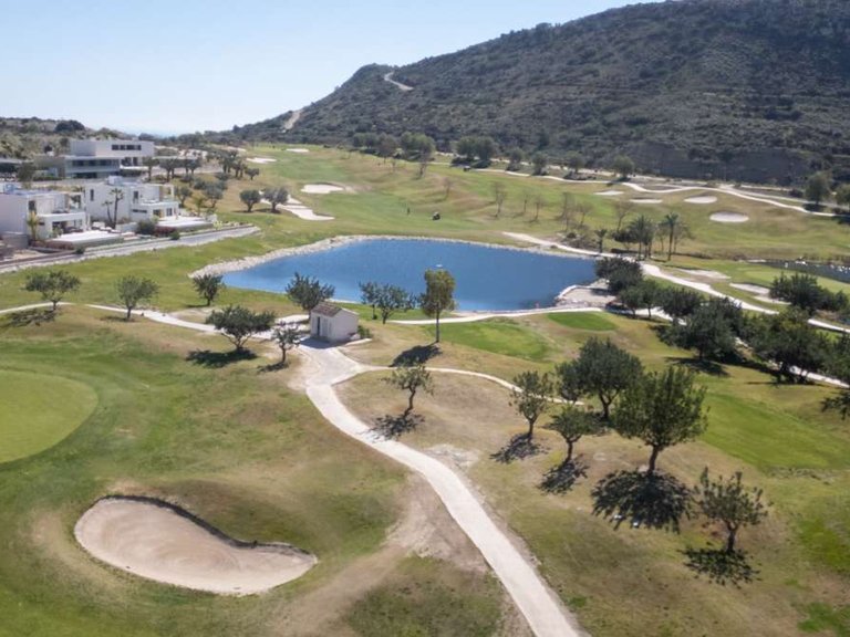Villa for Sale in Monforte Del Cid, Alicante 43