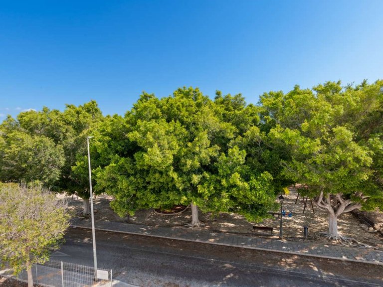 Villa for Sale in Pilar De La Horadada, Alicante 5
