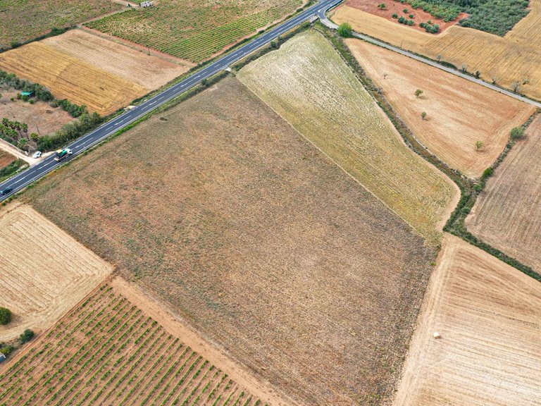Plot for Sale in Felanitx, Balearic Islands 8