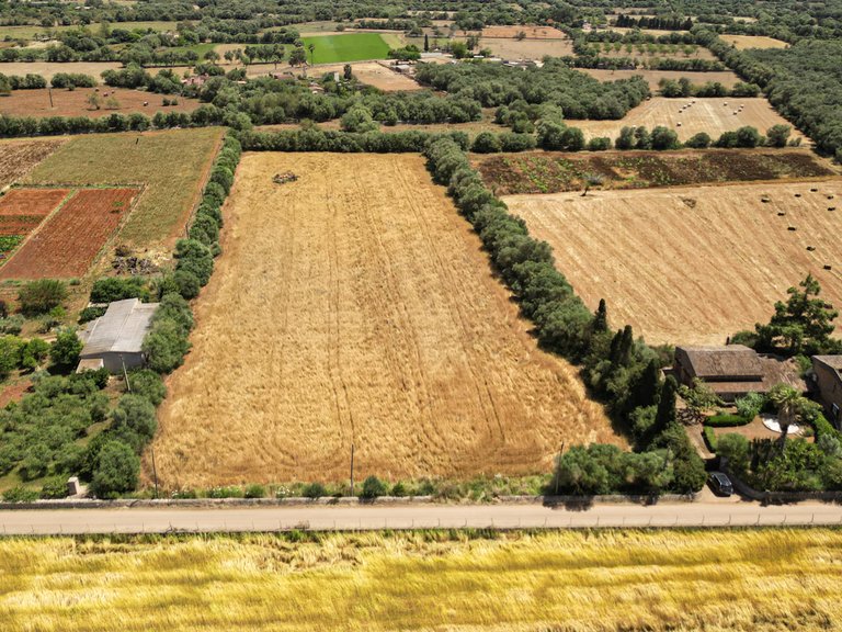 Plot for Sale in Felanitx, Balearic Islands 1