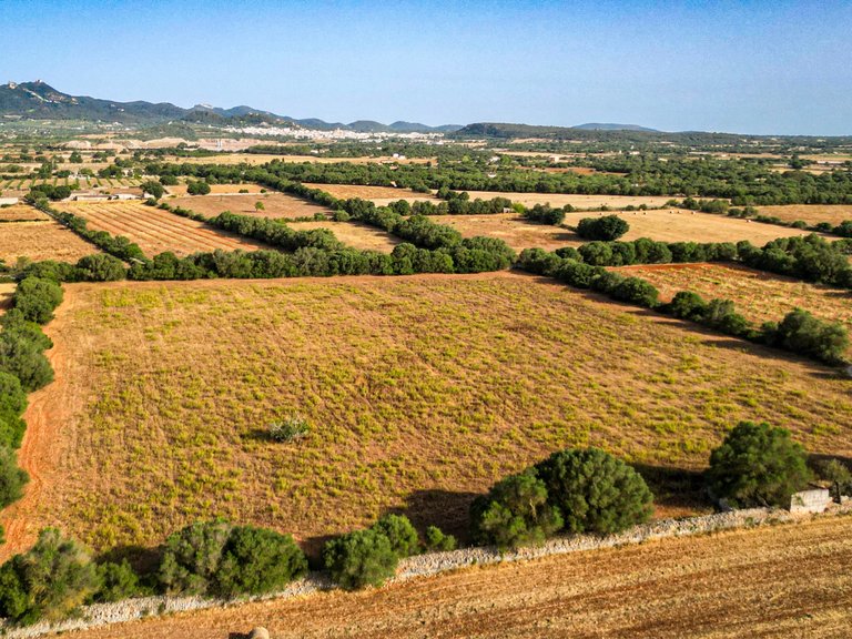 Plot for Sale in Felanitx, Balearic Islands 7