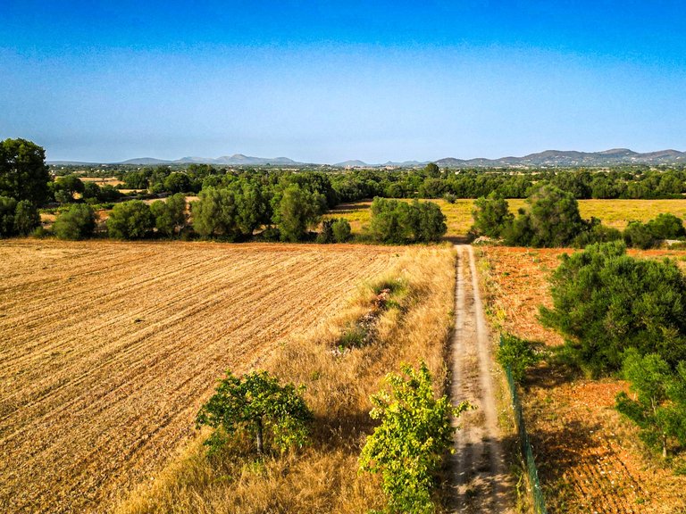 Plot for Sale in Felanitx, Balearic Islands 2