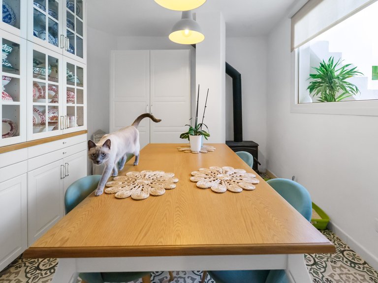 Town House for Sale in Felanitx, Balearic Islands 35
