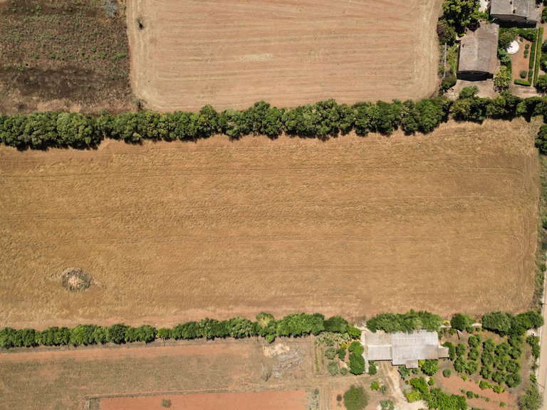 Plot for Sale in Felanitx, Balearic Islands 12